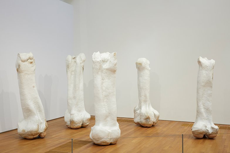 Five white and grey-tinged cylindrical sculptures resembling bones are placed upright in a corner of the gallery, with three in front and two at the back. Each bone has uneven bulges at the top and bottom.